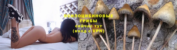 наркотики Алзамай