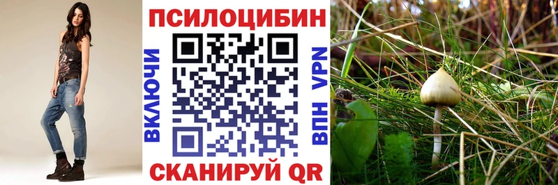Галлюциногенные грибы мухоморы  Богданович 